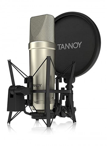Large Diaphragm Condenser Microphone With Recording Package TM1-TNY Silver/Black