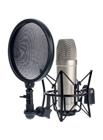Large Diaphragm Condenser Microphone With Recording Package TM1-TNY Silver/Black