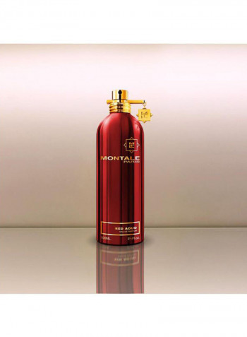 Paris Red Aoud EDP 100millilitre