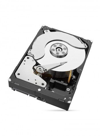 Barracuda Internal Hard Drive 6TB Silver
