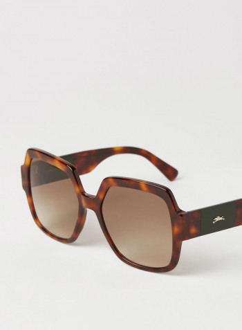 Women's Full Rim Acetate Butterfly Sunglasses - Lens Size: 56 mm