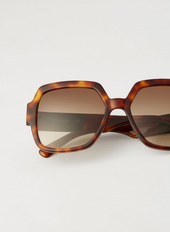 Women's Full Rim Acetate Butterfly Sunglasses - Lens Size: 56 mm