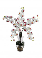 Phalaenopsis Liquid Illusion Silk Flower White/Red/Green