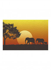 Afican Animal Elephants Sunset Print Doormat Rug Non-Slip Rubber Backing Indoor Decorative Mats Front Entrance Outside Patio Bedroom Bathroom Kitchen 20