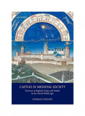 Castles In Medieval Society : Fortresses In England, France, And Ireland In The Central Middle Ages Paperback