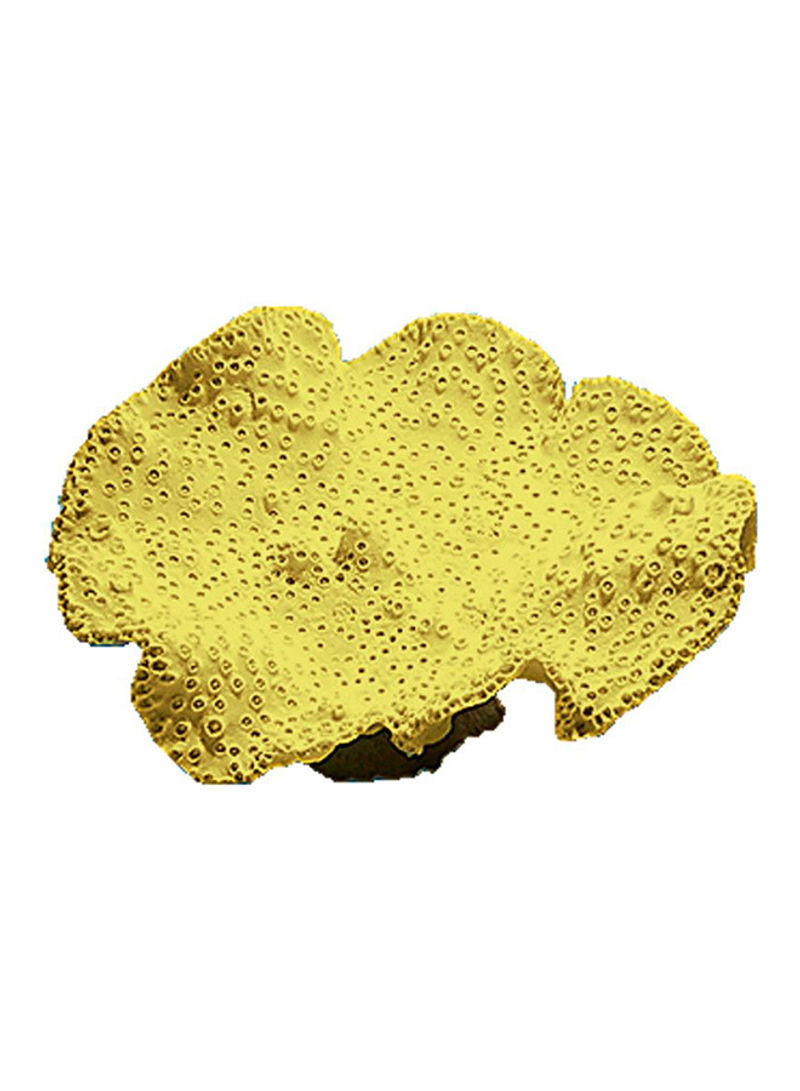 Turbinaria Peltata Coral Replica Yellow