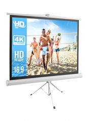 Portable Projector Screen Tripod Stand PRJTP52 Silver