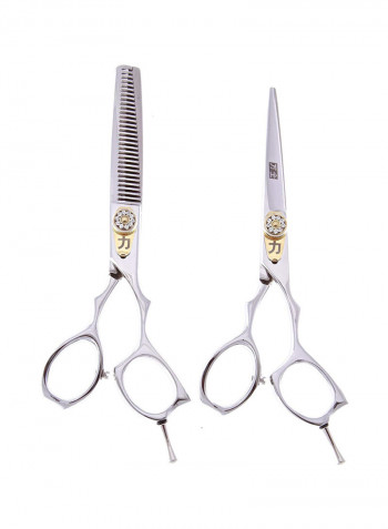 2-Piece Stainless Steel Cutting Scissor Silver/Gold