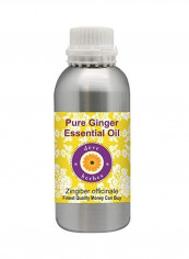 Pure Ginger Essential Oil 300ml reviews Pure Ginger Essential Oil 300ml