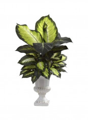 Artificial Dieffenbachia Plant With Urn Green/White