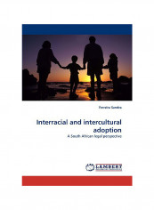 Interracial And Intercultural Adoption Paperback
