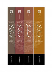 The Cambridge History of Ireland 4 Paperback Volume Set Hardcover