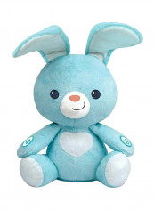 Peekaboo Light-Up Bunny Toy