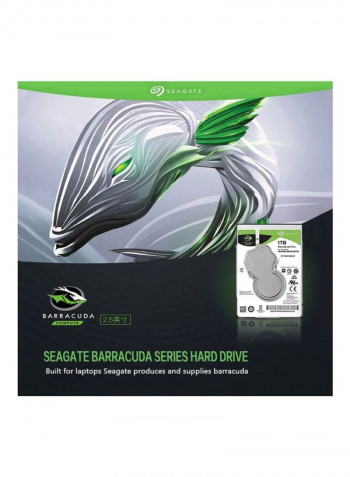 SATA Internal Hard Disk Drive 1TB Silver
