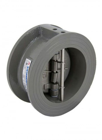 Dual Wafer Type Check Valve Grey 6inch