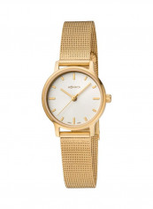 Women's Water Resistant Analog Watch WRE.46111.SM