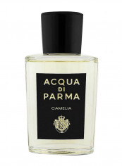 Signature Camelia EDP 180ml reviews Signature Camelia EDP 180ml