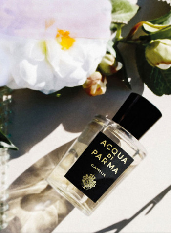 Signature Camelia EDP 180ml