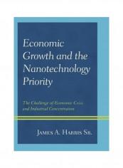 Economic Growth And The Nanotechnology Priority: The Challenge Of Economic Crisis And Industrial Concentration Hardcover