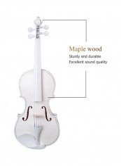 4/4 Acoustic Violin