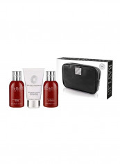Pack Of 4 Pepper And Ginseng Travel Gift Set