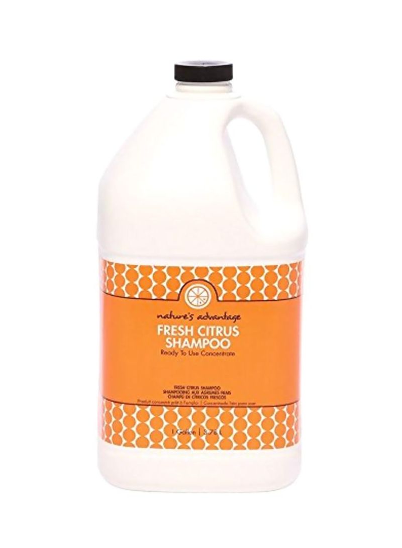 Fresh Citrus Shampoo 3.78L