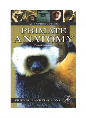 Primate Anatomy Paperback 3