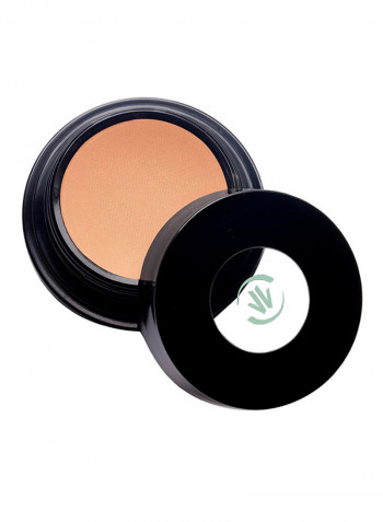 Water Canvas Highlighter Lucky Light