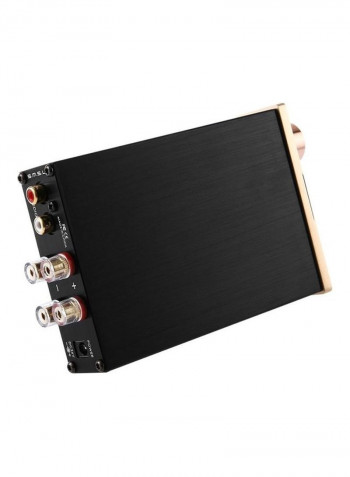 Audio Amplifier Stereo HiFi Digital Speaker