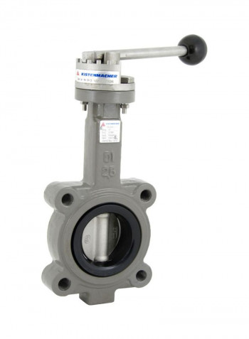 Ductile Iron Lug Type Butterfly Valve Grey/Black 4inch