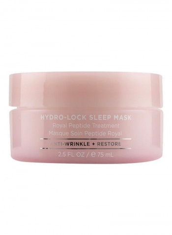 Hydro-Lock Sleep Mask Royal Peptide Treatment 75ml