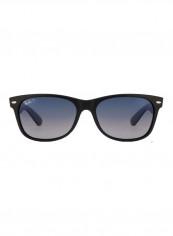 Polarized Wayfarer Sunglasses