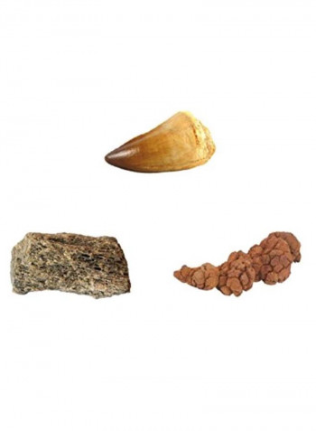 Dino Fossil Dig Kit 10inch