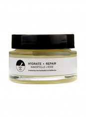 Hydrate Plus Repair Face Balm 0.9ounce