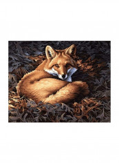 Sunlit Fox Paint By Numbers Kit Yellow/Grey/White reviews Sunlit Fox Paint By Numbers Kit Yellow/Grey/White