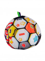 Laugh And Learn Singin' Soccer Ball BHJ28