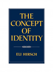 The Concept of Identity Paperback