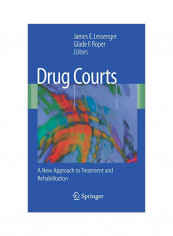 Drug Courts: A New Approach To Treatment And Rehabilitation Hardcover