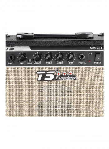 Professional Electric Guitar Amplifier Distortion