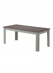 Emily Dining Table Grey 190x76x90centimeter