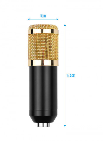 Professional Condenser Microphone Kit