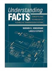 Understanding Facts Paperback
