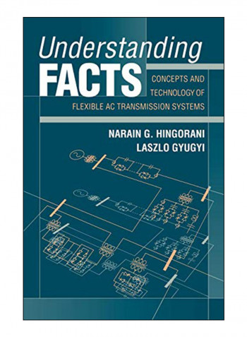 Understanding Facts Paperback