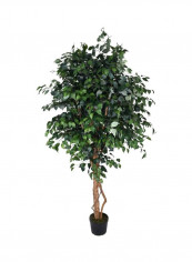Artificial Ficus Tree Green/Black 230x130cm