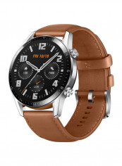 GT2 Smartwatch  Classic Edition With 14 Days Battery Pebble Brown