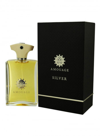 Silver EDP 100ml