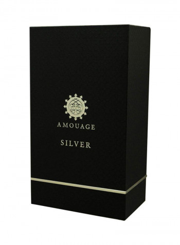 Silver EDP 100ml