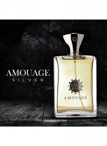 Silver EDP 100ml