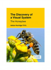 The Discovery Of A Visual System The Honeybee Hardcover 1