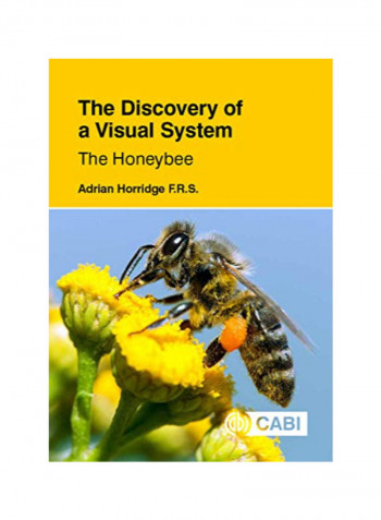 The Discovery Of A Visual System The Honeybee Hardcover 1